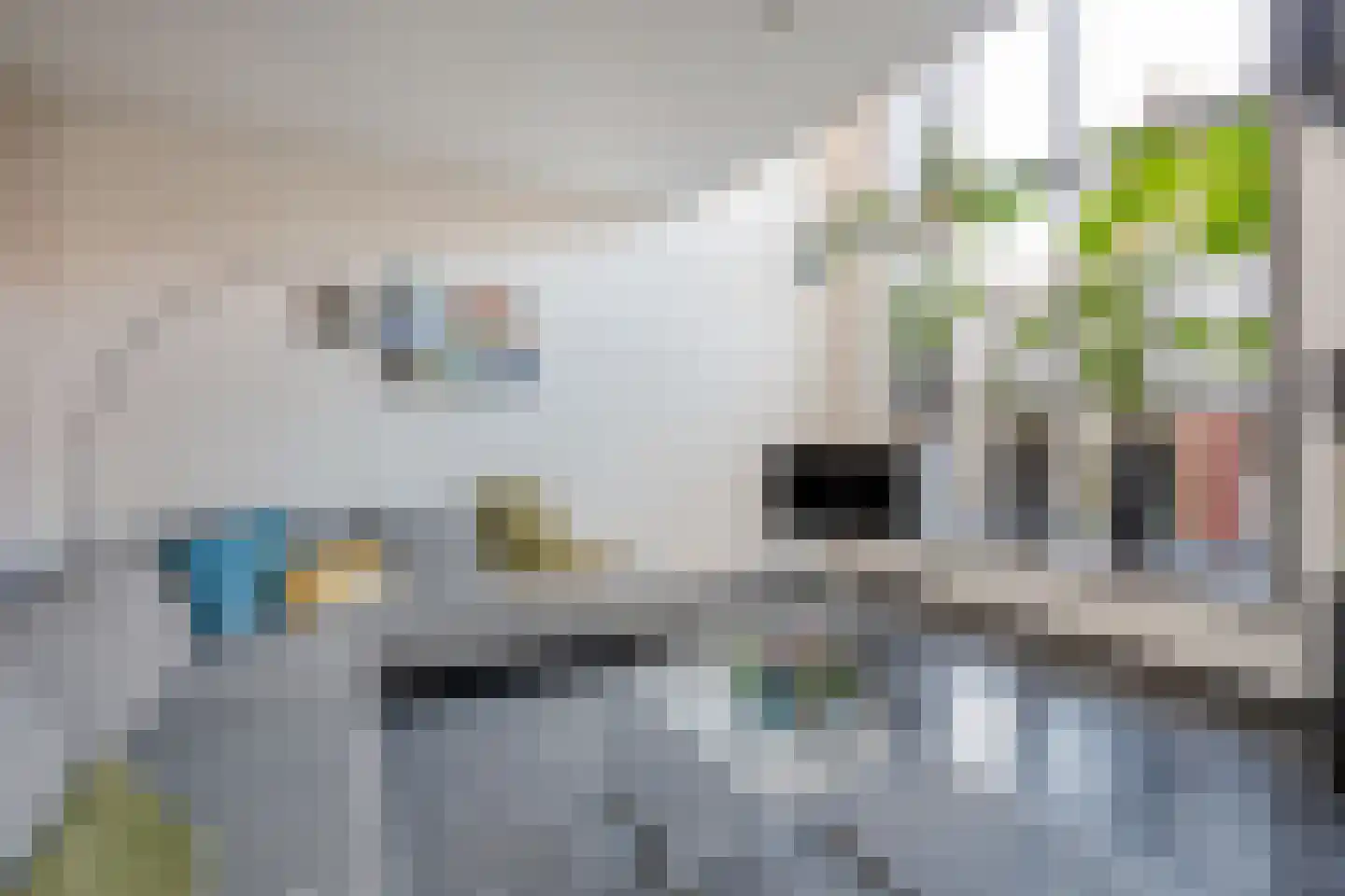 Friendshipring 98 Nootdorp thumbnail 5