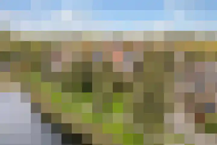 Friesburg 18 Leeuwarden thumbnail 34