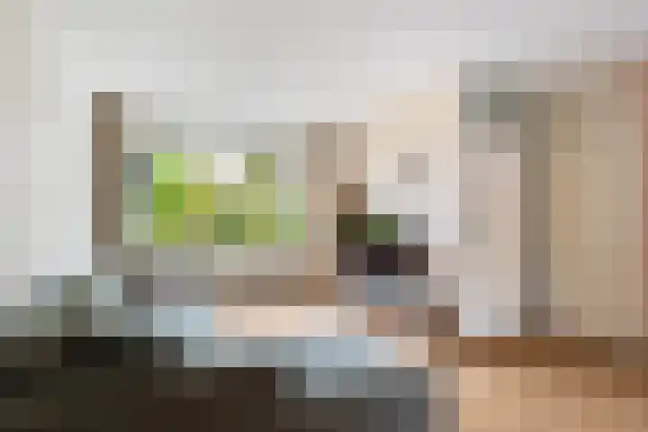 Friesburg 7 Leeuwarden thumbnail 15