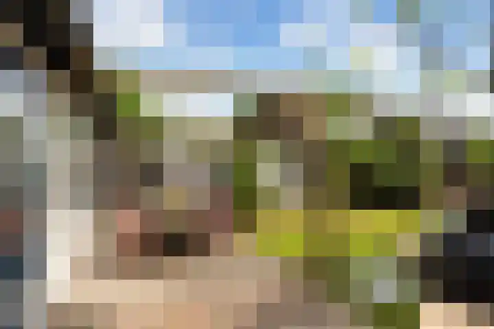 Friesburg 7 Leeuwarden thumbnail 24