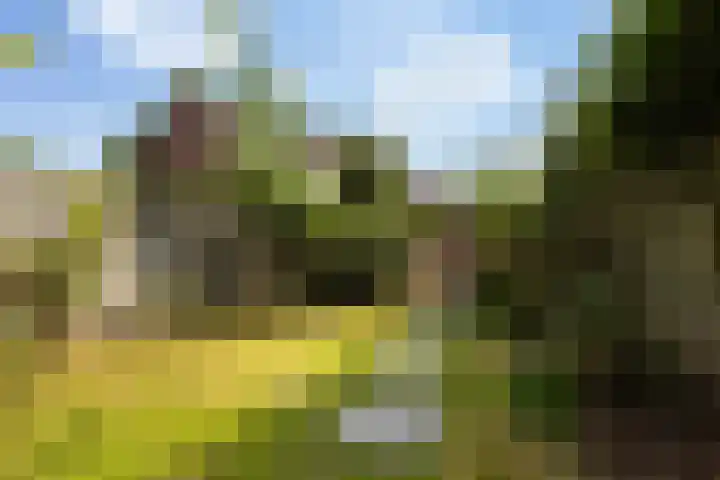 Friesburg 7 Leeuwarden thumbnail 27