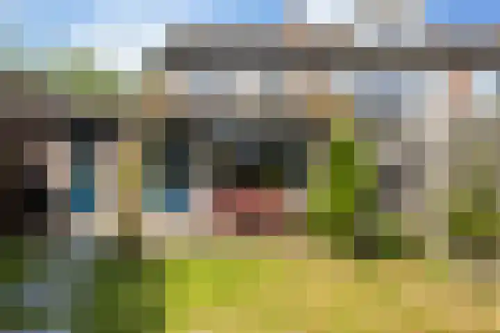 Friesburg 7 Leeuwarden thumbnail 29