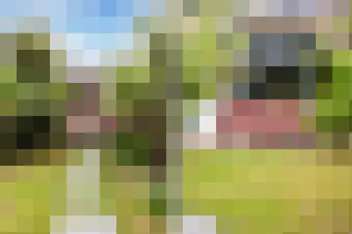 Friesburg 7 Leeuwarden thumbnail 30