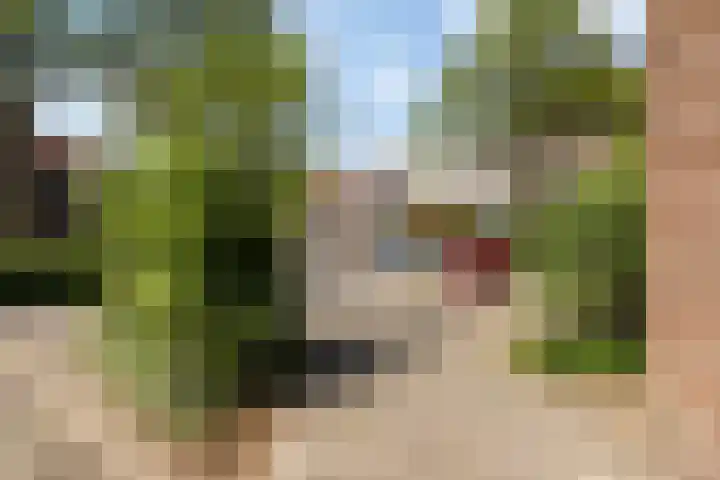 Friesburg 7 Leeuwarden thumbnail 8
