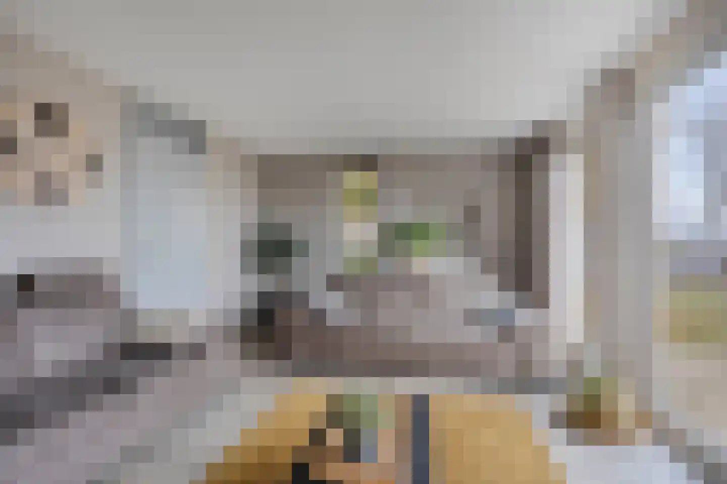 Friesche Vlaak 1 Makkum thumbnail 10