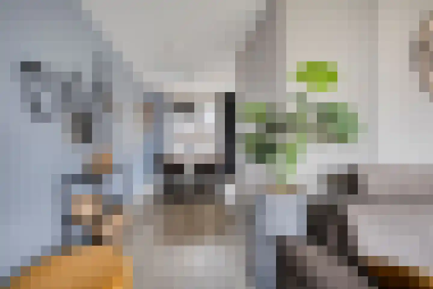 Friesche Vlaak 1 Makkum thumbnail 11