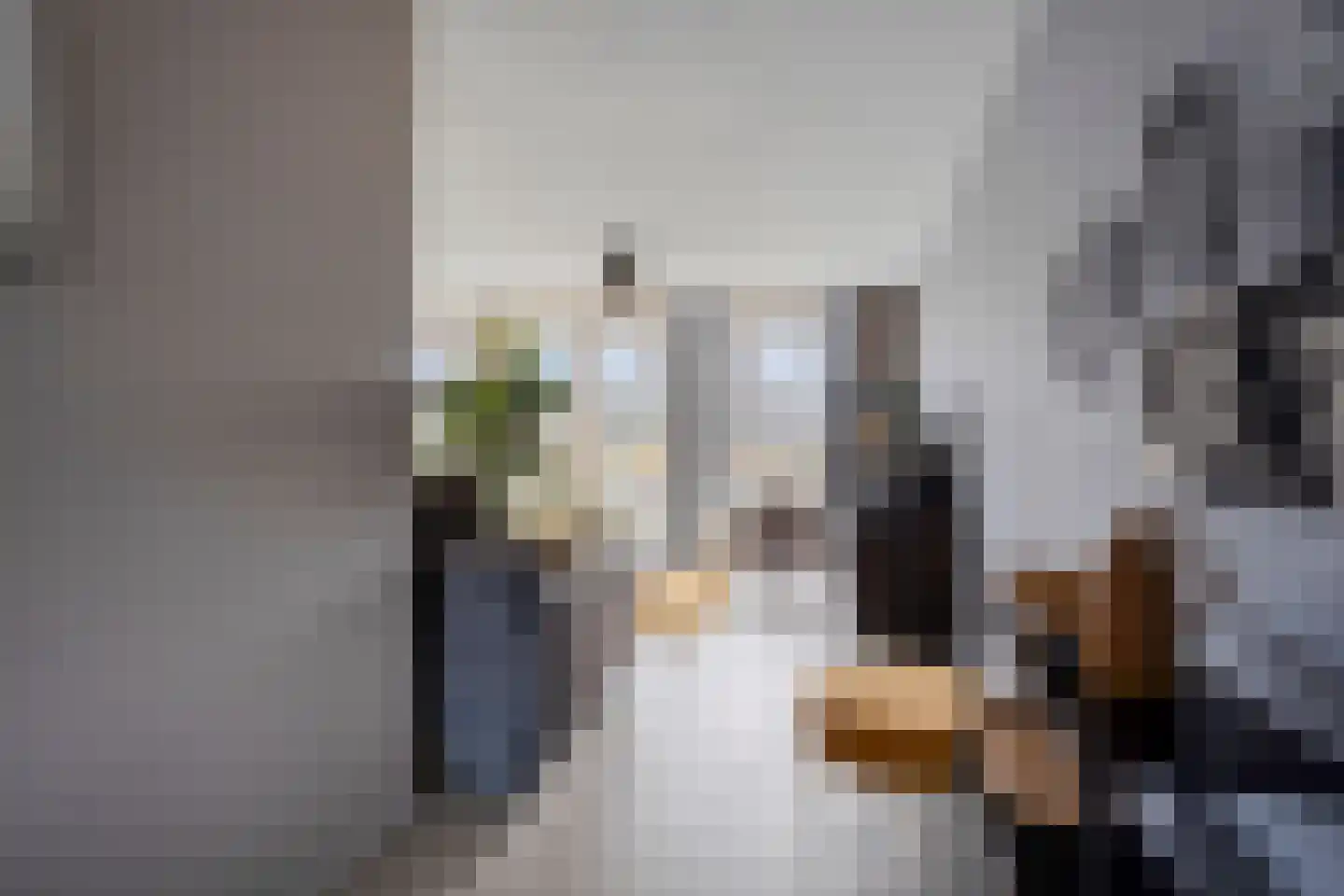 Friesche Vlaak 1 Makkum thumbnail 12