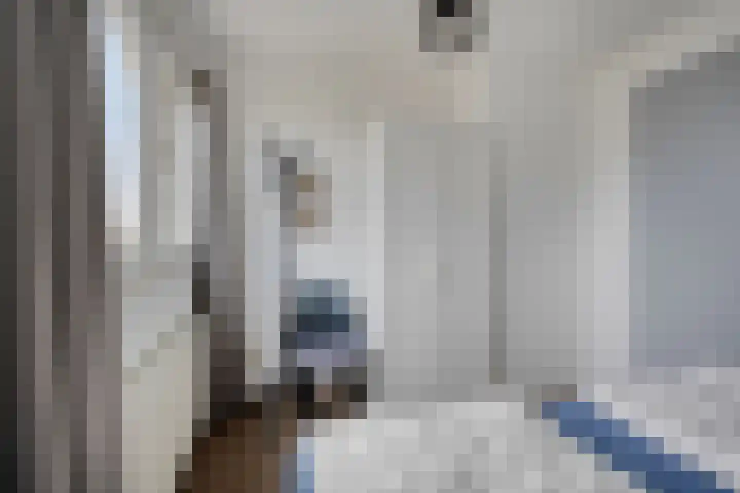 Friesche Vlaak 1 Makkum thumbnail 22