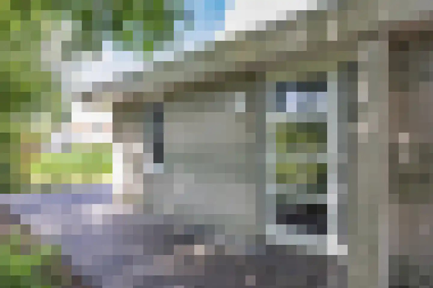 Friesche Vlaak 10 Makkum thumbnail 5