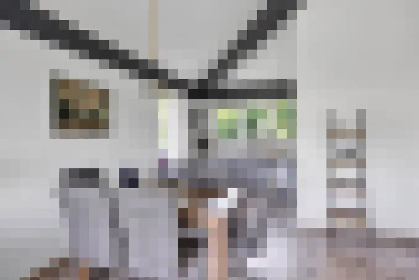 Friesche Vlaak 10 Makkum thumbnail 9