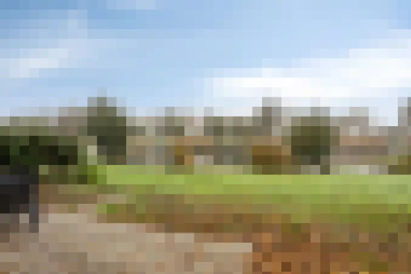 Friesche Vlaak 11 Makkum thumbnail 18