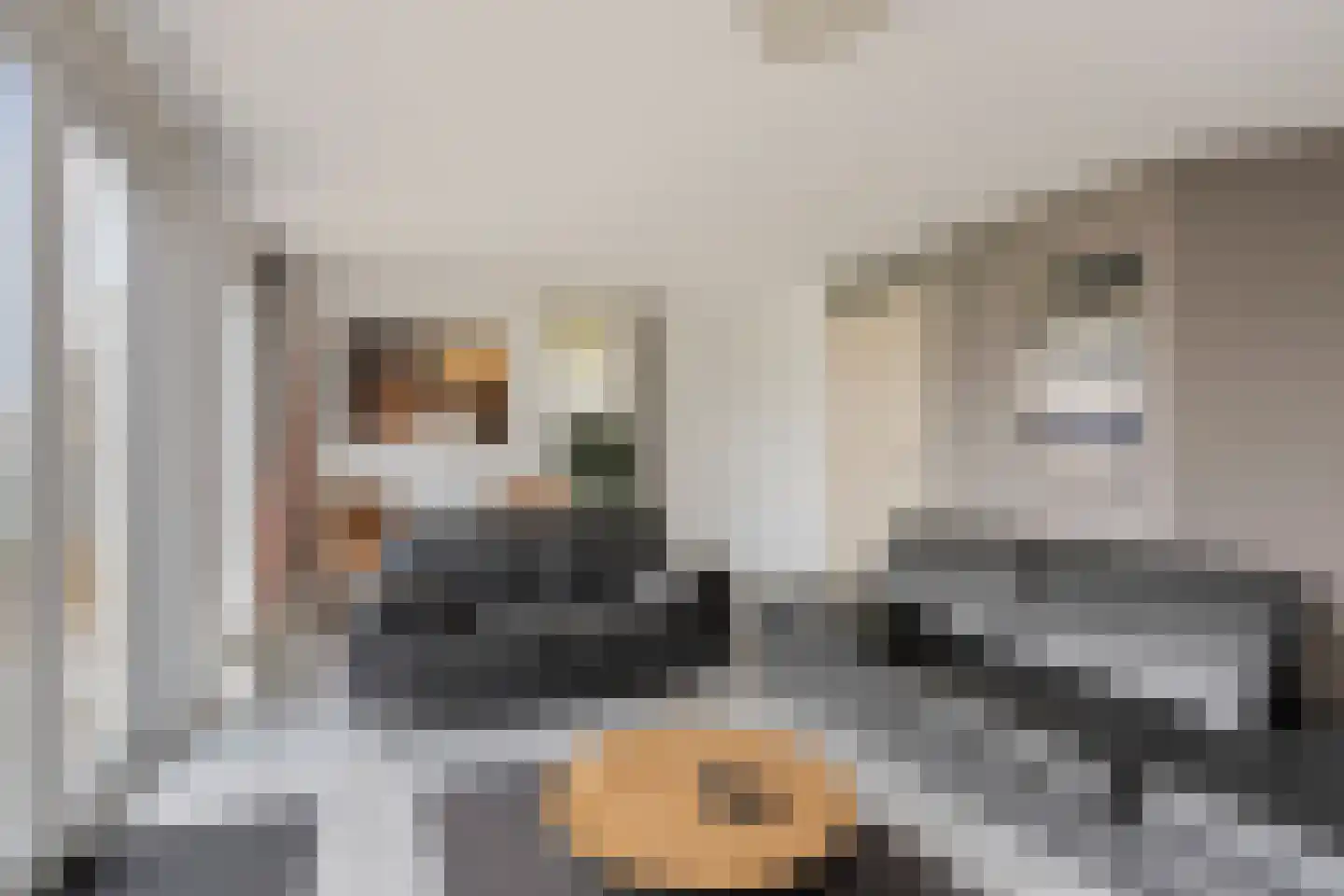 Friesche Vlaak 11 Makkum thumbnail 6
