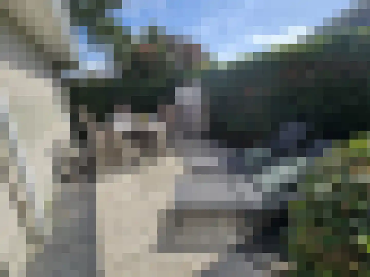 Friesche Vlaak 18 Makkum thumbnail 7