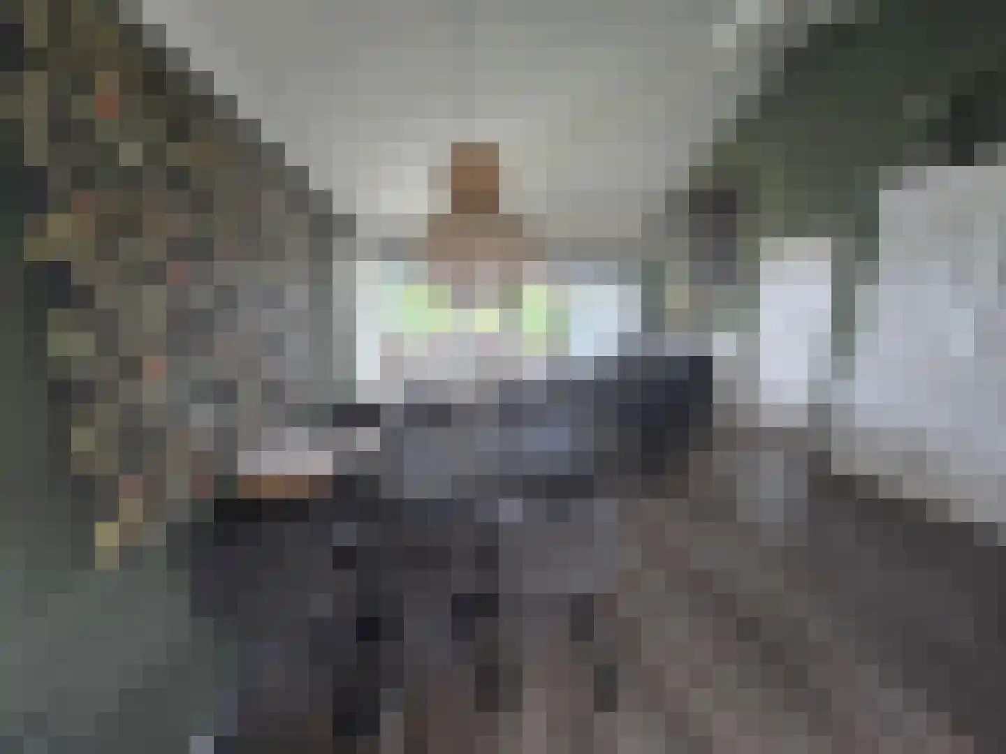 Friesche Vlaak 18 Makkum thumbnail 9