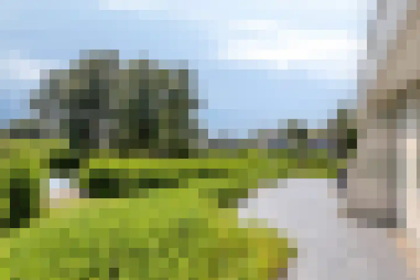 Friesche Vlaak 25 Makkum thumbnail 24
