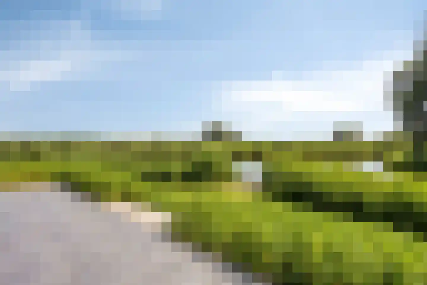 Friesche Vlaak 25 Makkum thumbnail 25