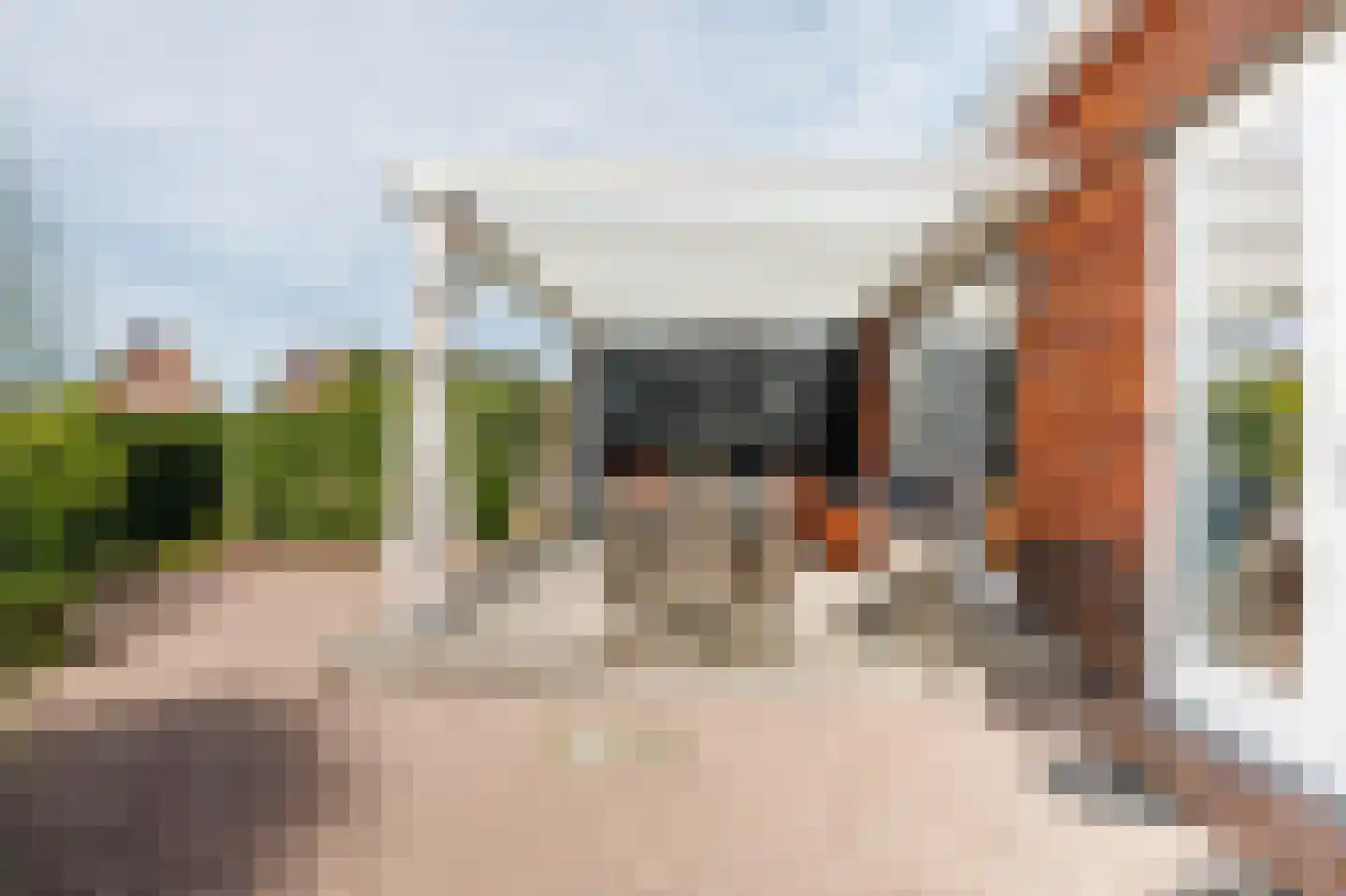 Friese Golfjes 4 Oegstgeest thumbnail 23