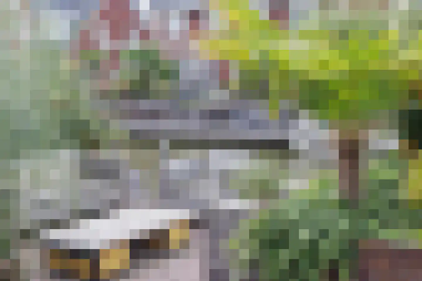 Friese Golfjes 4 Oegstgeest thumbnail 24