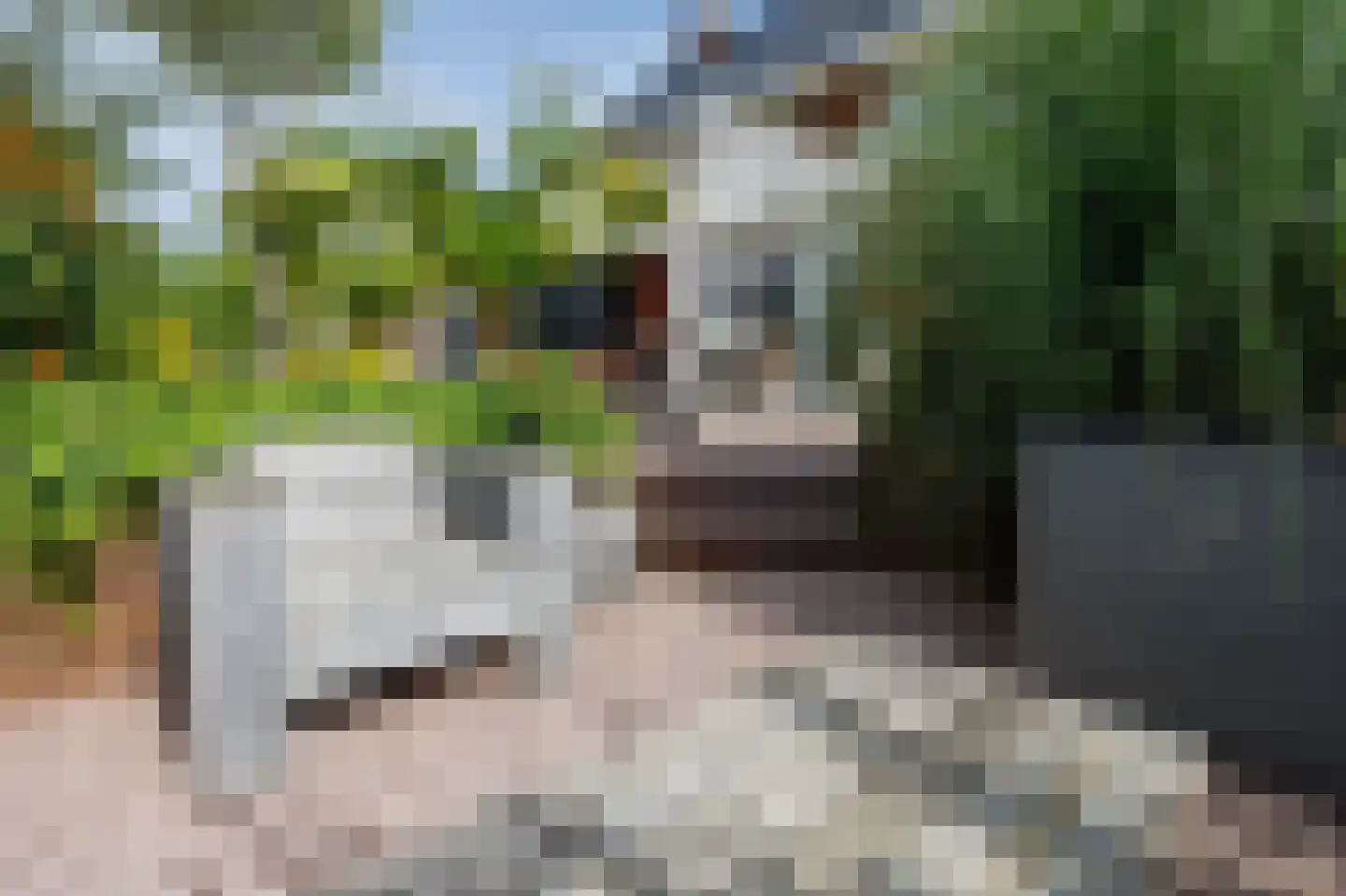 Friese Golfjes 4 Oegstgeest thumbnail 25