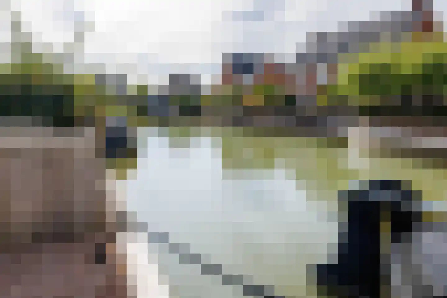 Friese Golfjes 4 Oegstgeest thumbnail 4