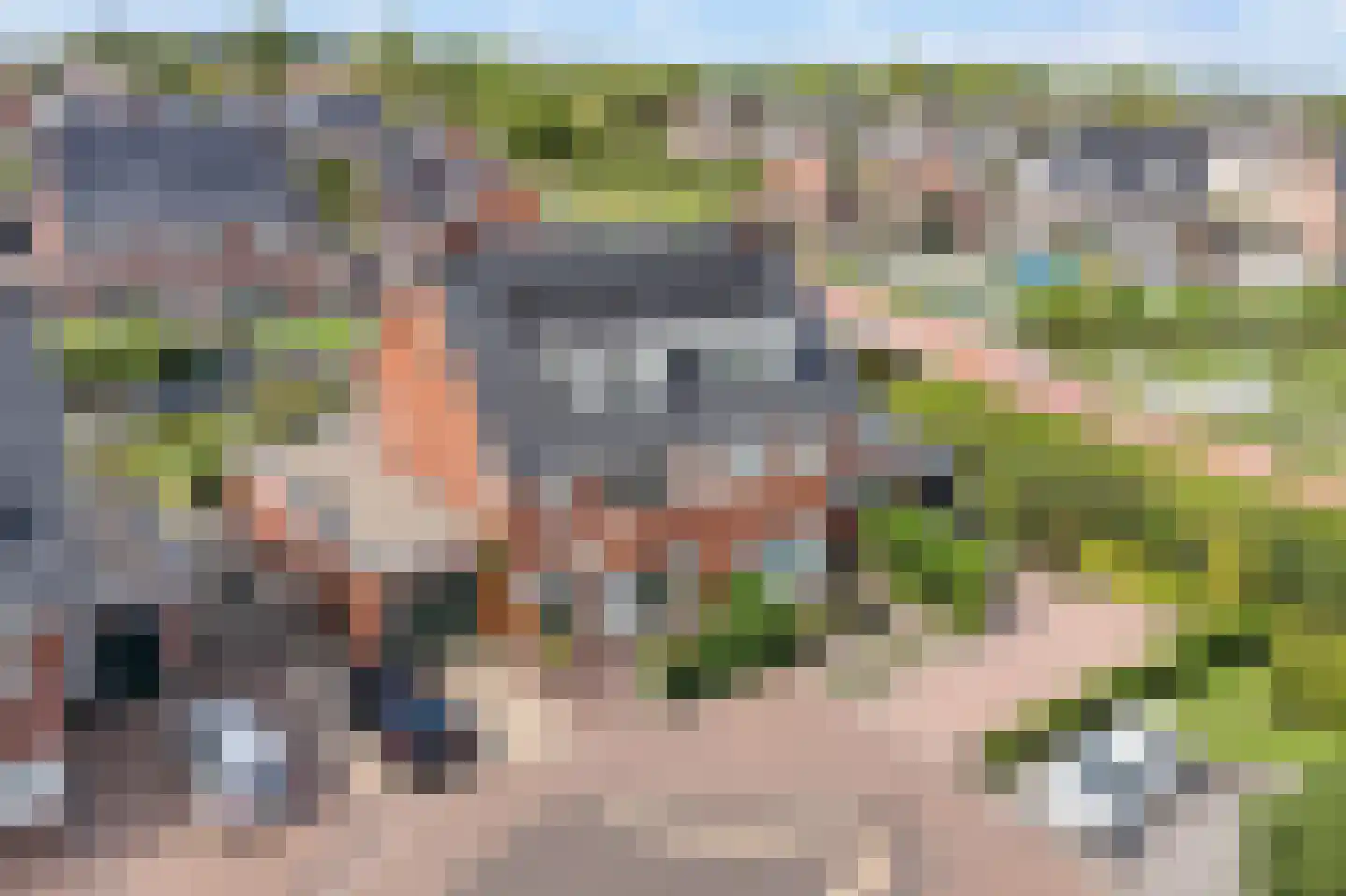 Friese Golfjes 4 Oegstgeest thumbnail 5