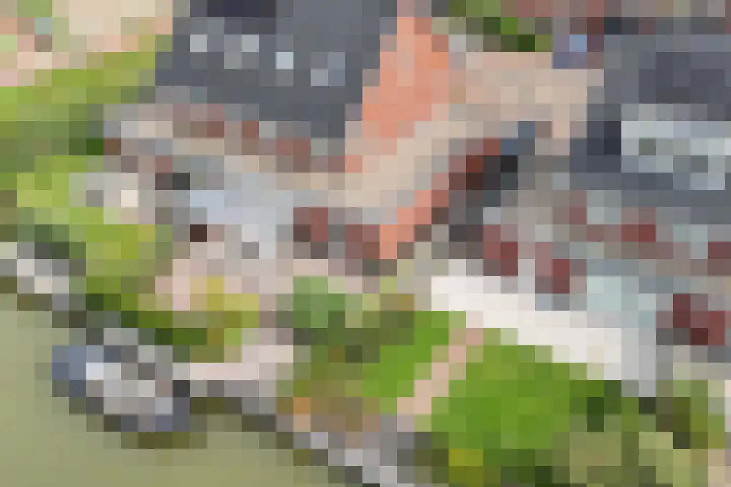 Friese Golfjes 4 Oegstgeest thumbnail 6