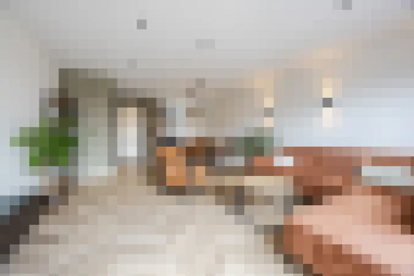 Friese Schouw 3 Reeuwijk thumbnail 10