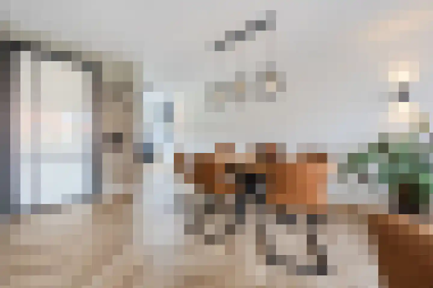 Friese Schouw 3 Reeuwijk thumbnail 12
