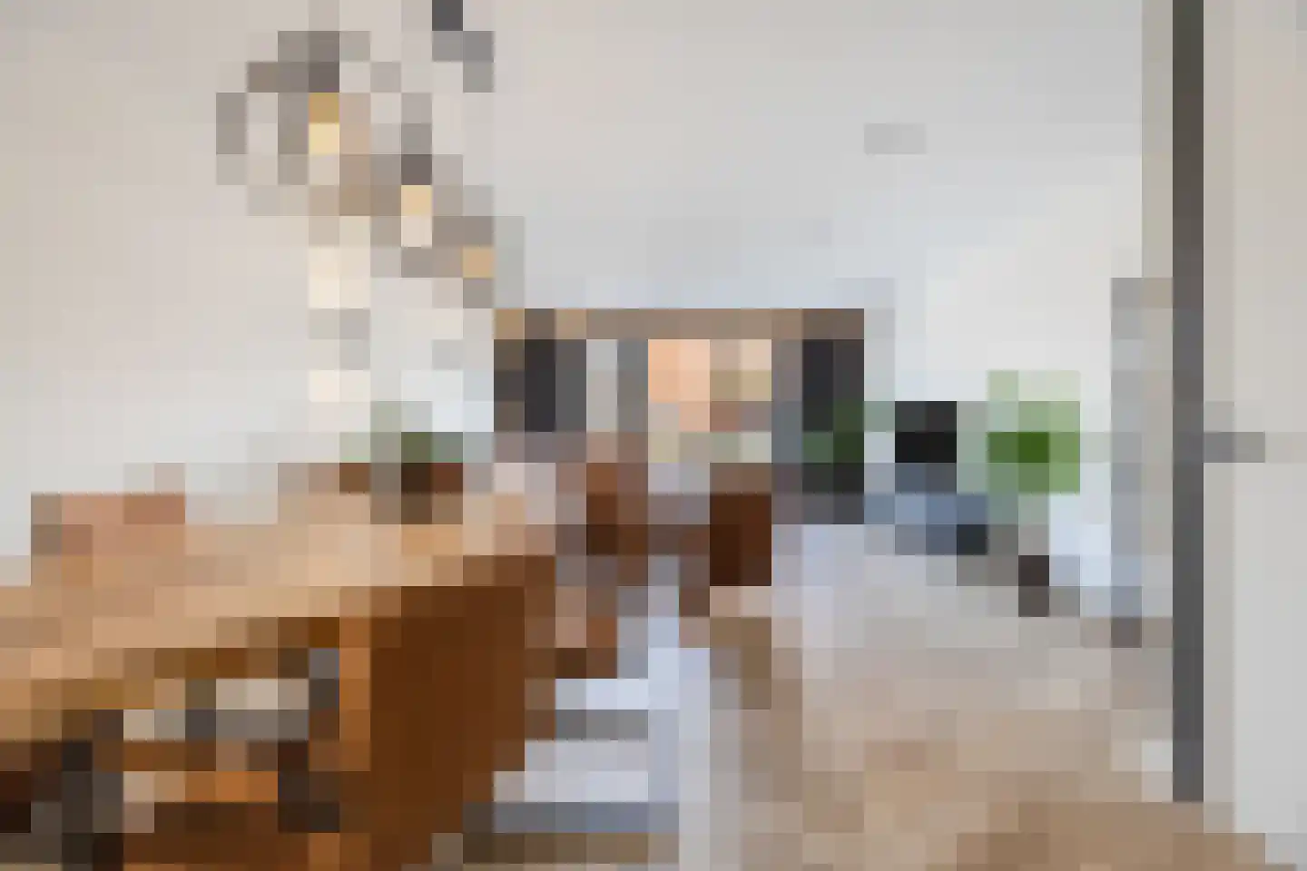 Friese Schouw 3 Reeuwijk thumbnail 13