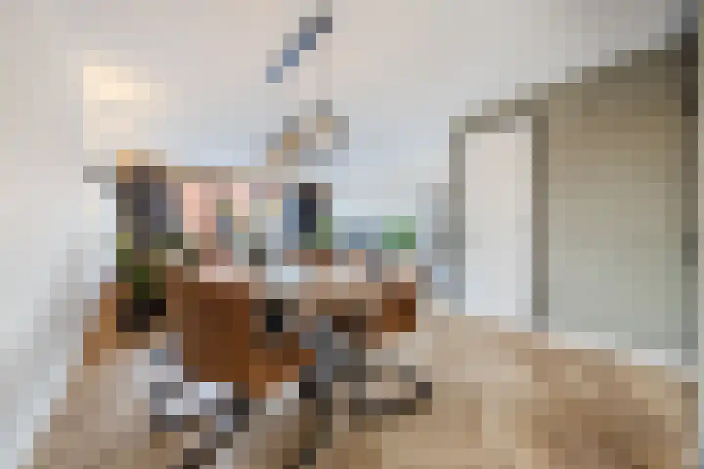 Friese Schouw 3 Reeuwijk thumbnail 14