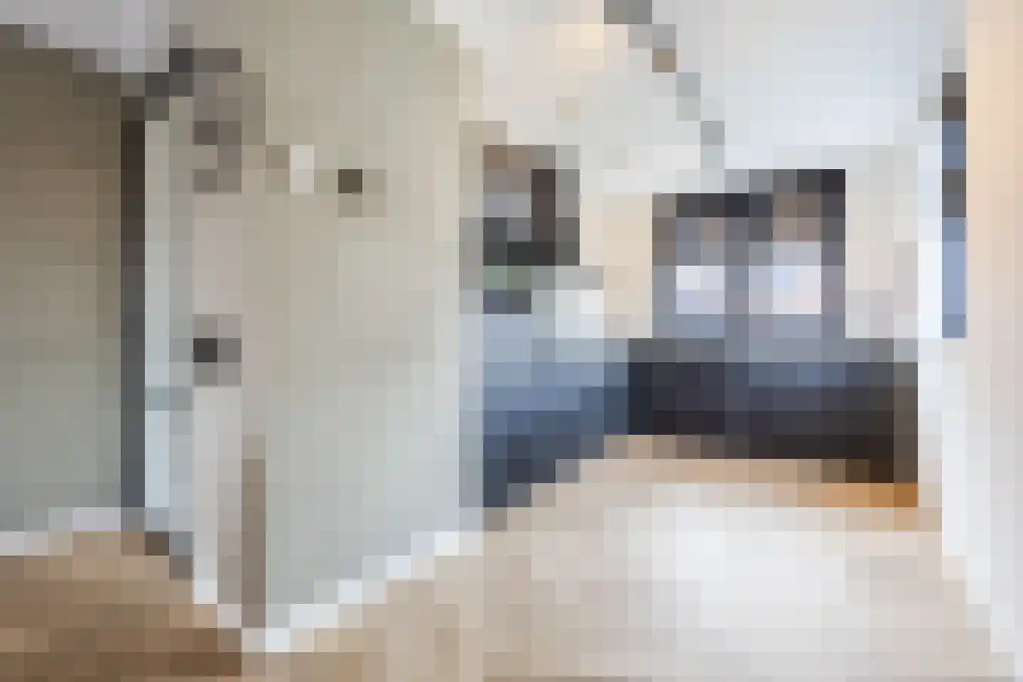 Friese Schouw 3 Reeuwijk thumbnail 15