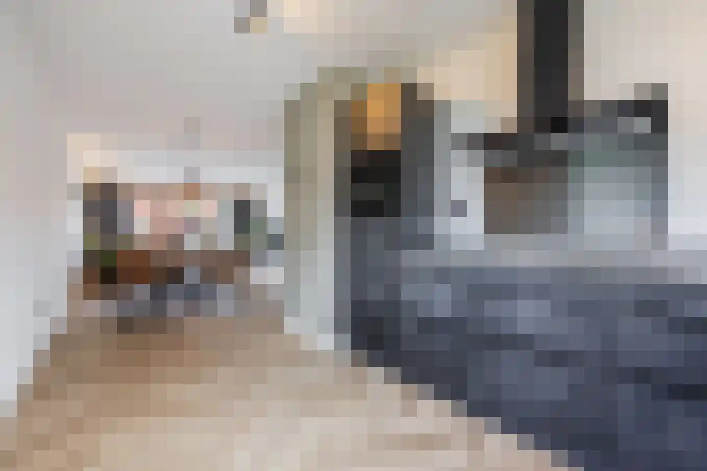 Friese Schouw 3 Reeuwijk thumbnail 16