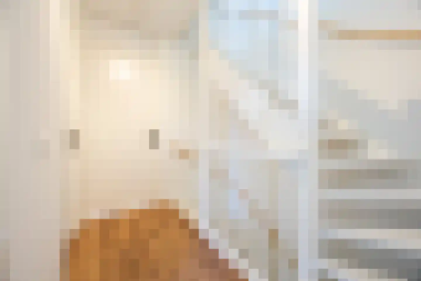 Friese Schouw 3 Reeuwijk thumbnail 17