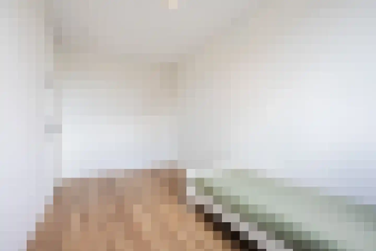 Friese Schouw 3 Reeuwijk thumbnail 22