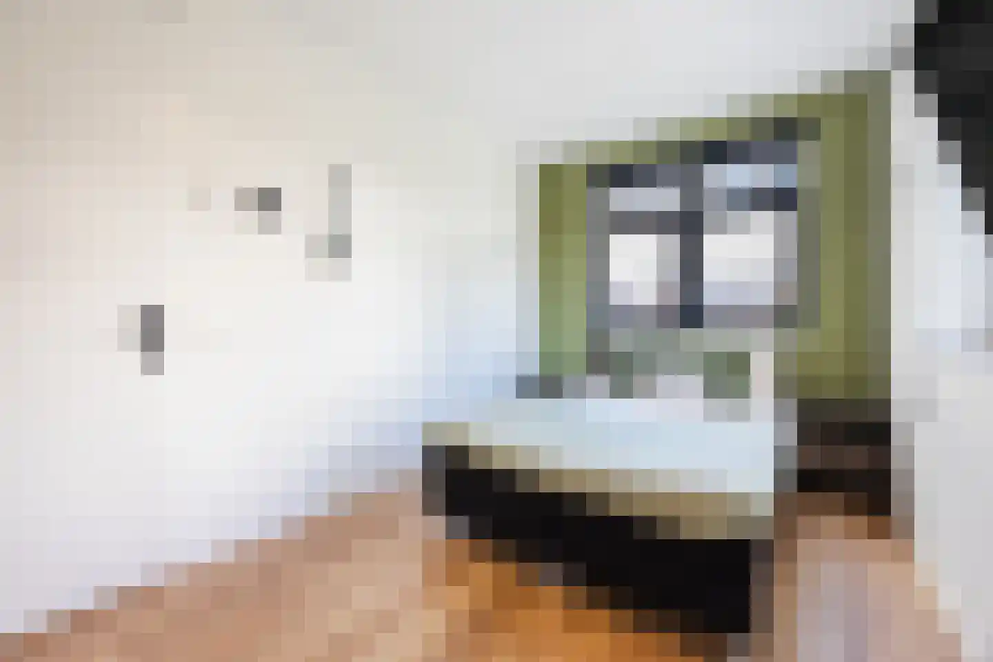 Friese Schouw 3 Reeuwijk thumbnail 24