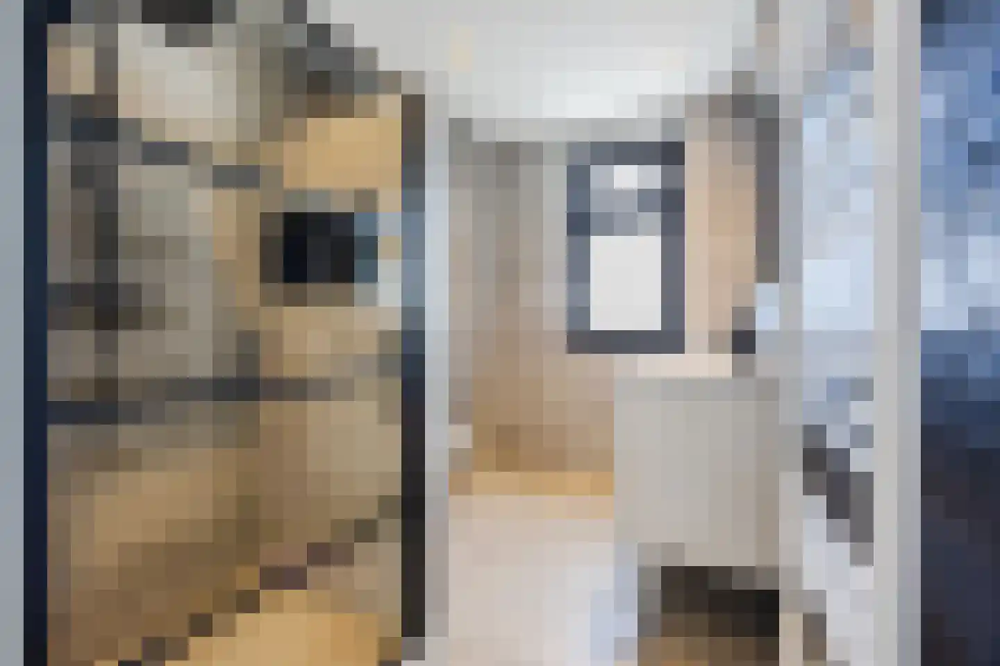 Friese Schouw 3 Reeuwijk thumbnail 26