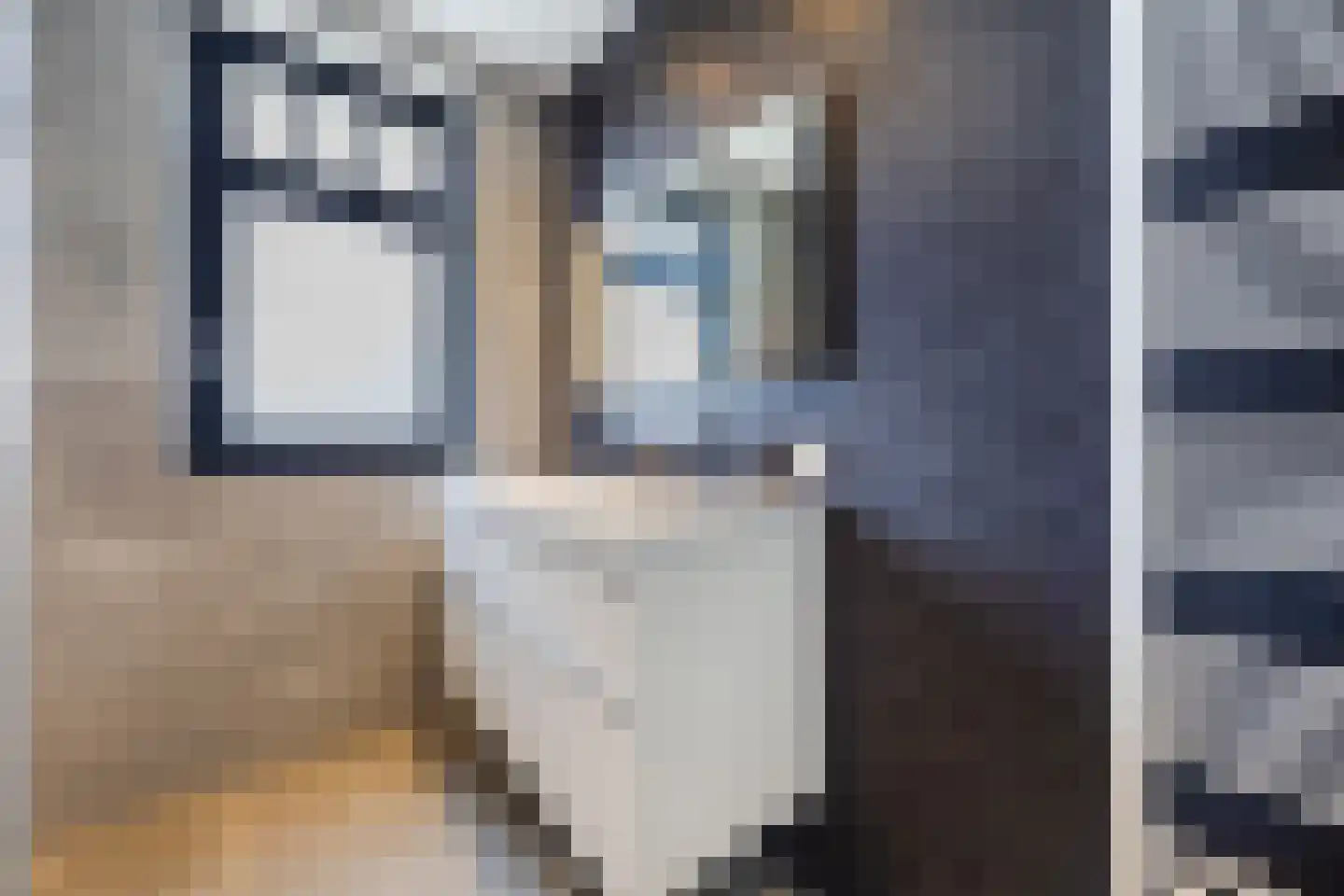 Friese Schouw 3 Reeuwijk thumbnail 27