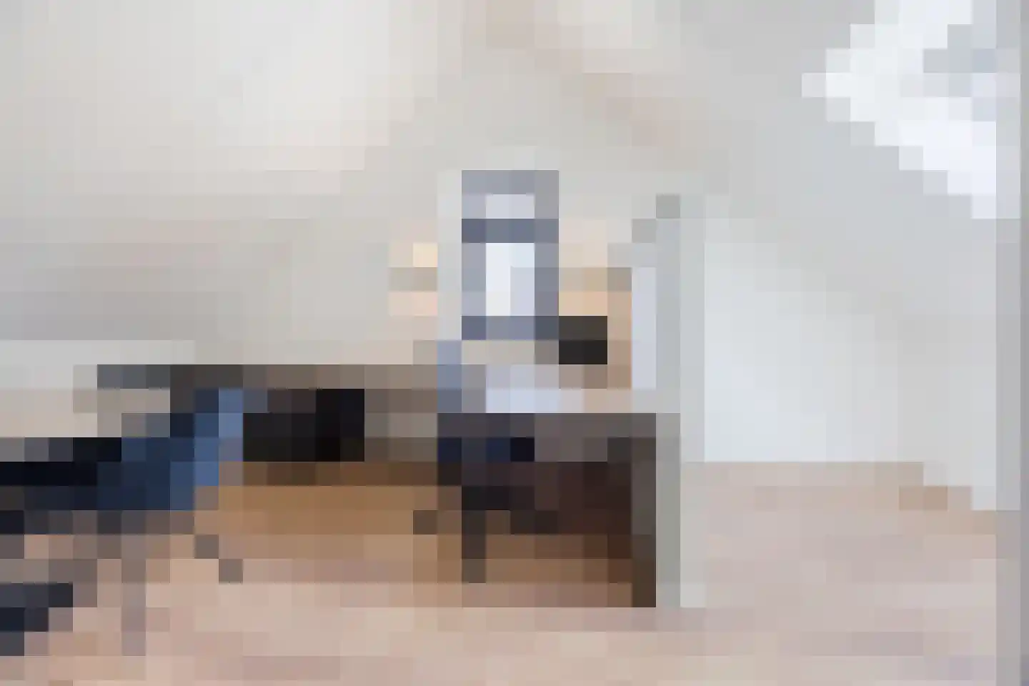 Friese Schouw 3 Reeuwijk thumbnail 33