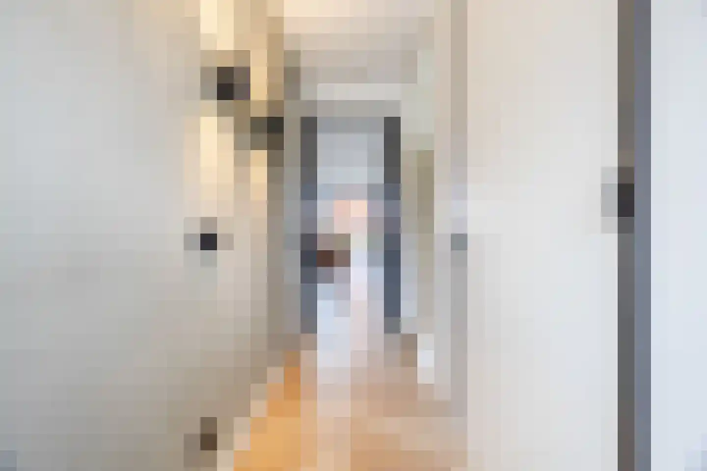 Friese Schouw 3 Reeuwijk thumbnail 6