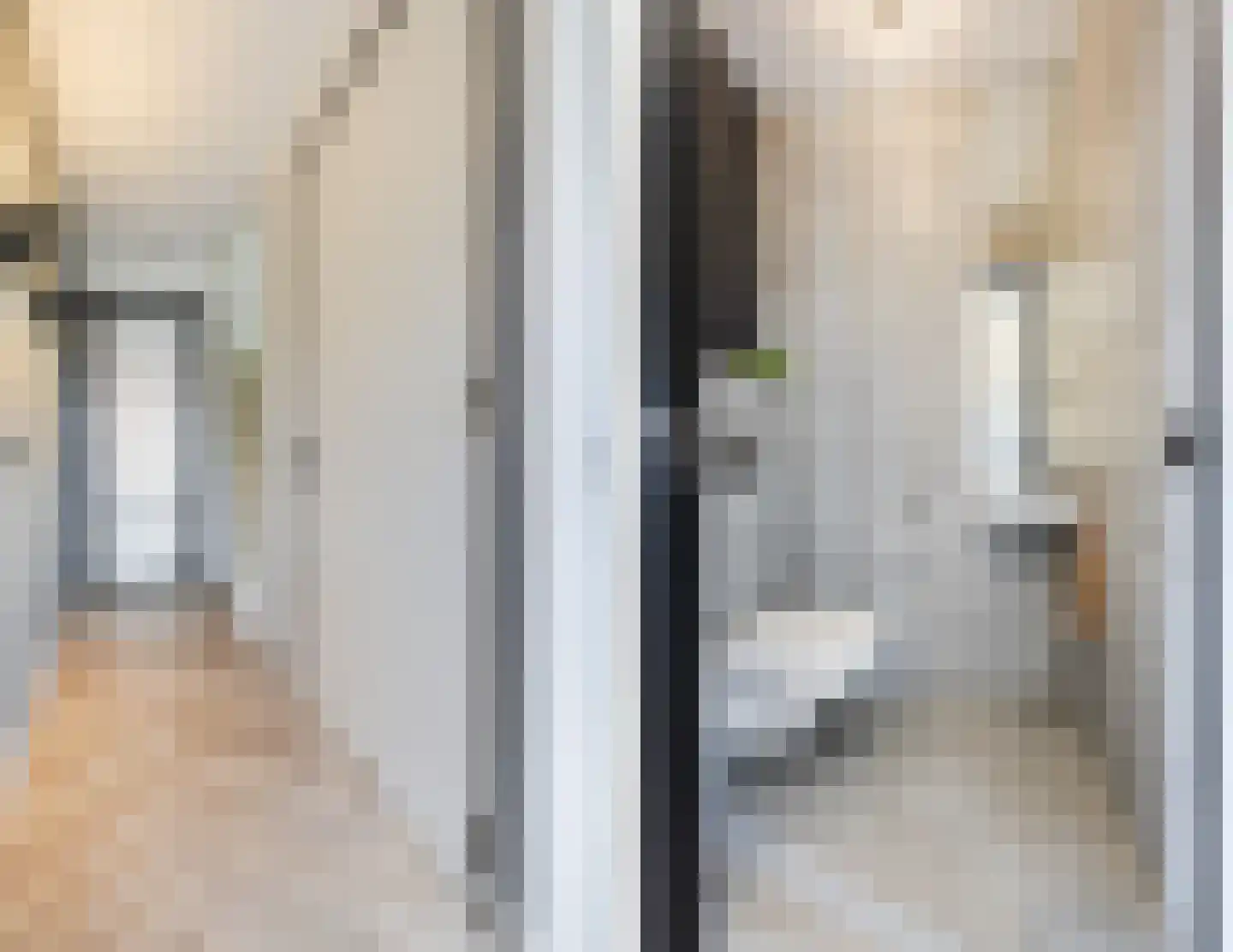 Friese Schouw 3 Reeuwijk thumbnail 8