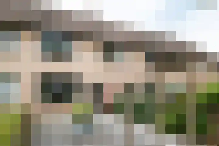 Friese Steen 17 Wijk bij Duurstede