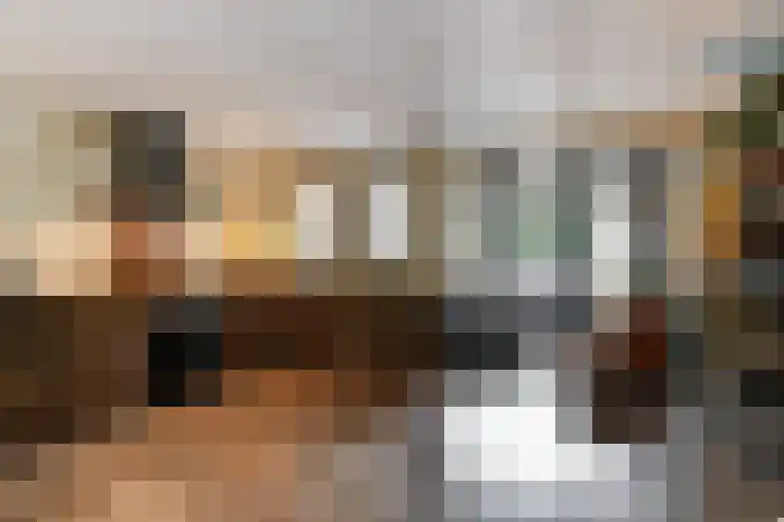 Friese Steen 17 Wijk bij Duurstede thumbnail 11