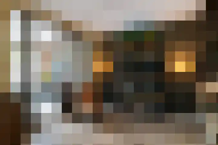 Friese Steen 17 Wijk bij Duurstede thumbnail 12
