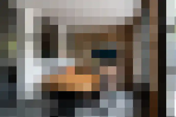 Friese Steen 17 Wijk bij Duurstede thumbnail 16