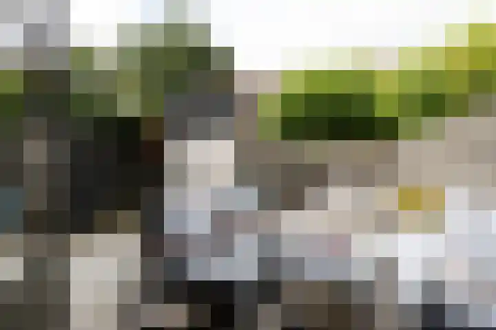 Friese Steen 17 Wijk bij Duurstede thumbnail 18