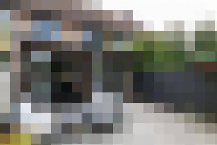 Friese Steen 17 Wijk bij Duurstede foto 2