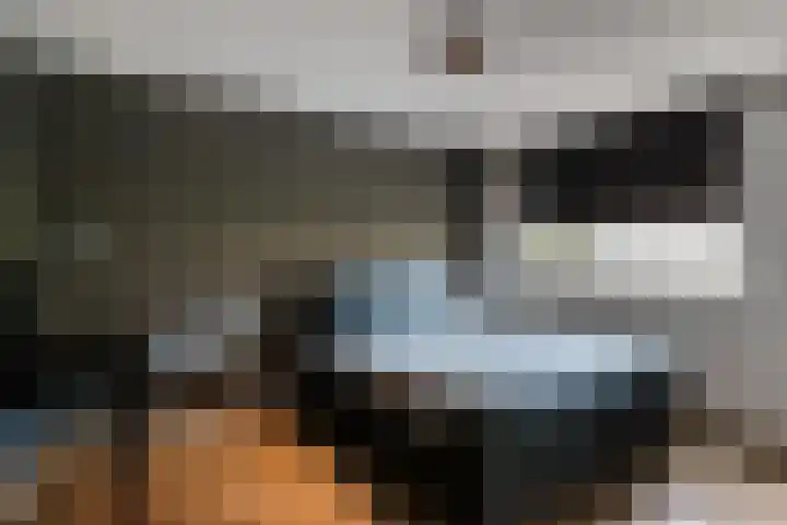 Friese Steen 17 Wijk bij Duurstede thumbnail 21