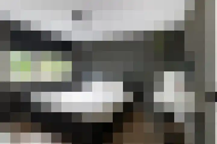 Friese Steen 17 Wijk bij Duurstede thumbnail 22