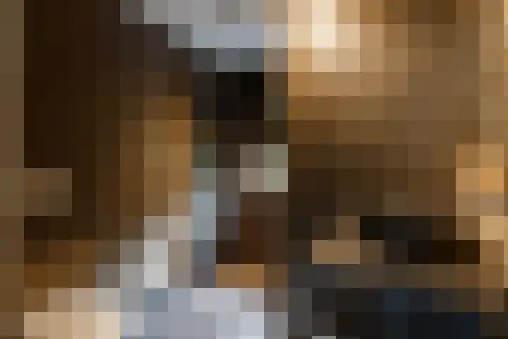 Friese Steen 17 Wijk bij Duurstede thumbnail 23