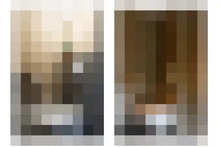 Friese Steen 17 Wijk bij Duurstede thumbnail 24